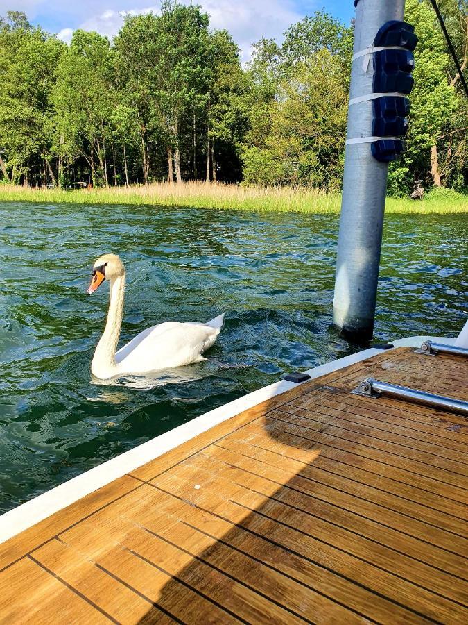 Luxusurlaub Auf Der Amavida Yacht / Scharmuetzelsee Bad Saarow-Pieskow Exterior foto